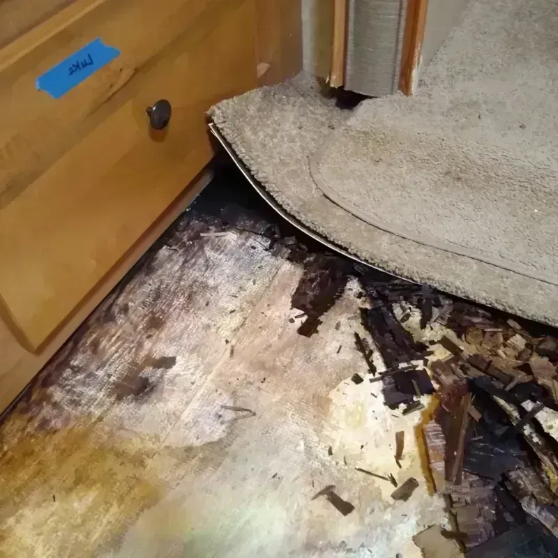 Best Wood Floor Water Damage Service in Saint Joseph, MN